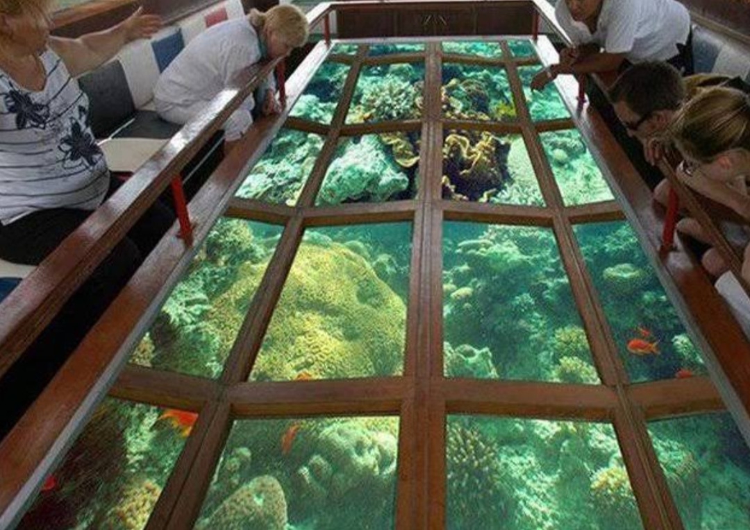 Bateau à fond de verre