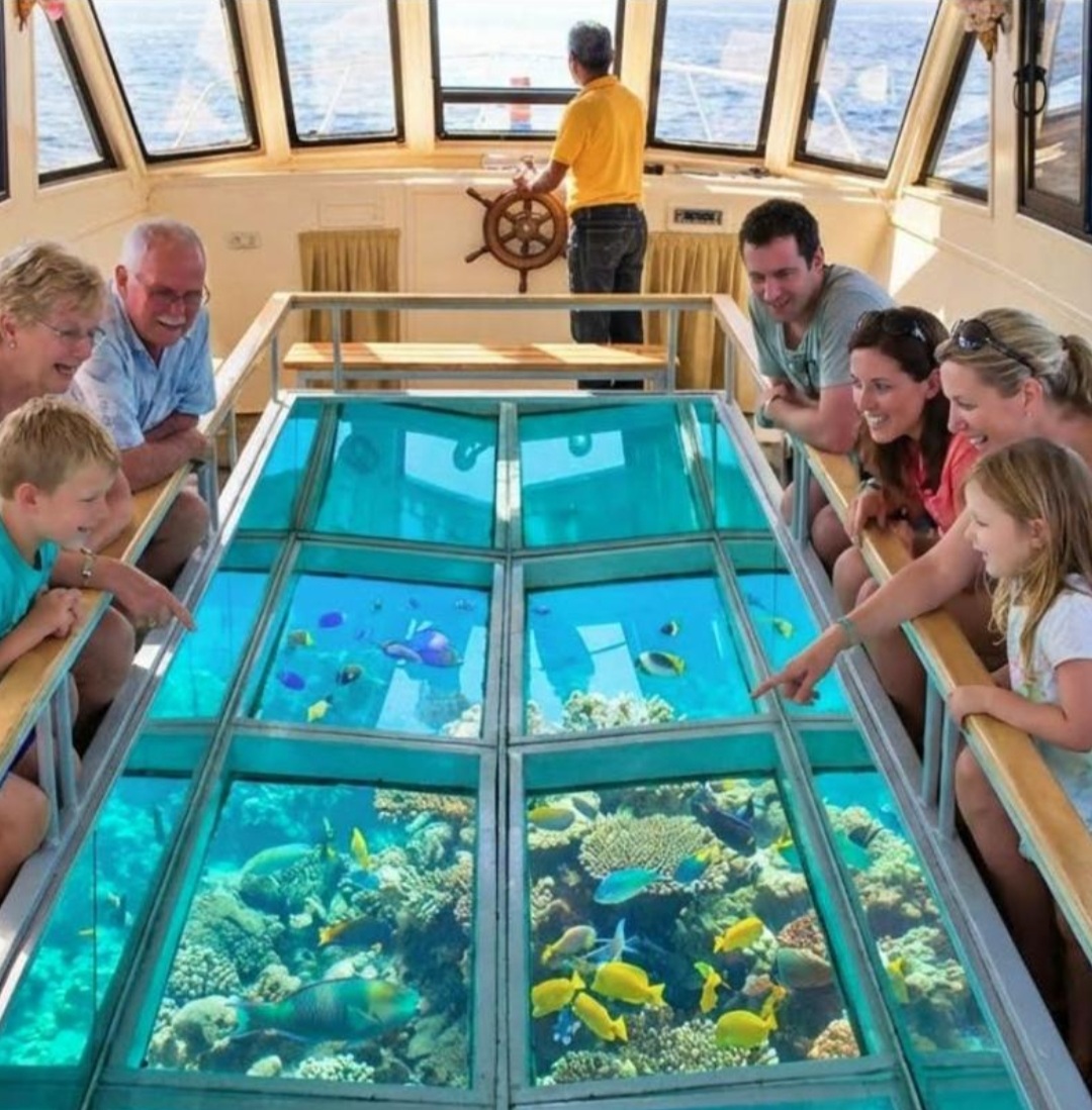 Bateau à fond de verre