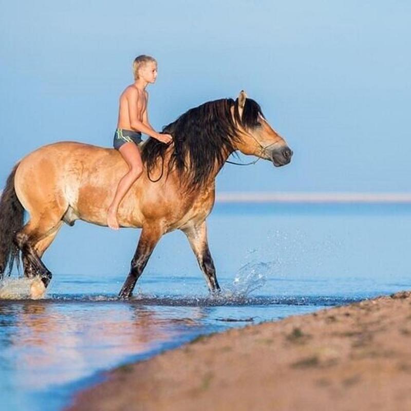 Passeggiata a cavallo sul mare
