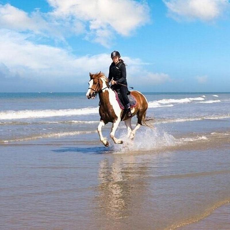 Passeggiata a cavallo sul mare