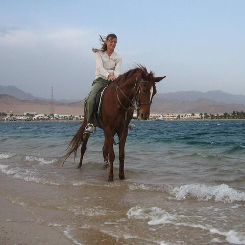 Passeggiata a cavallo sul mare