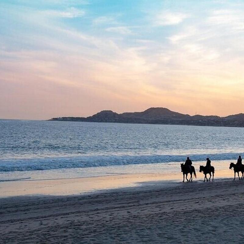 Passeggiata a cavallo sul mare