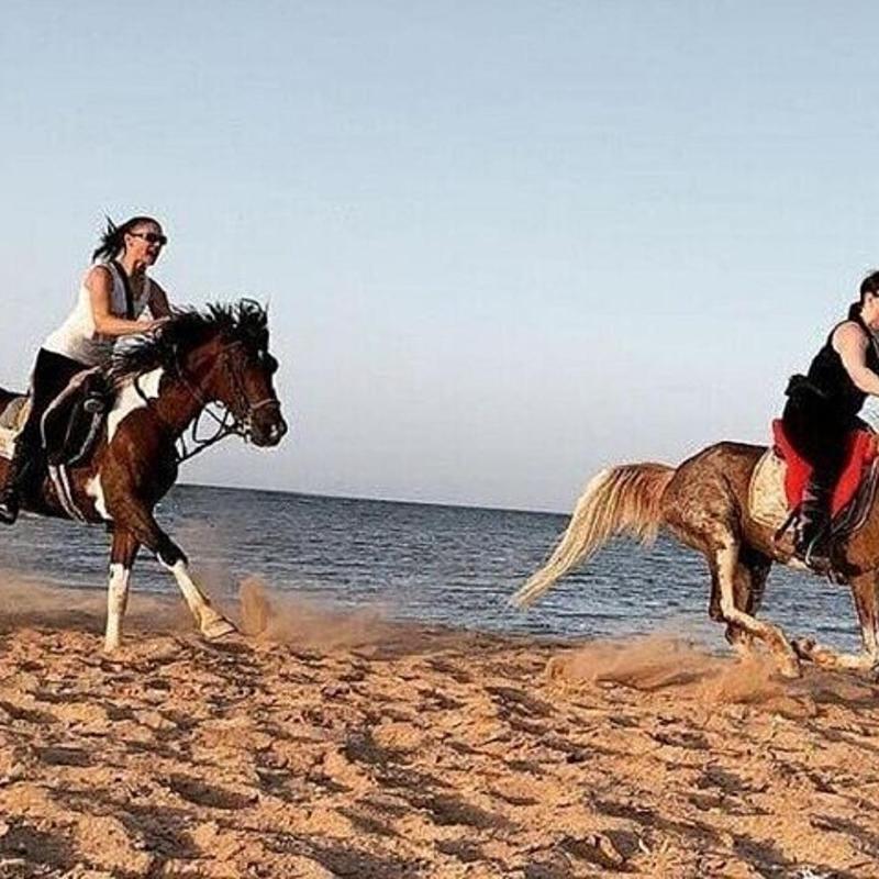 Passeggiata a cavallo sul mare