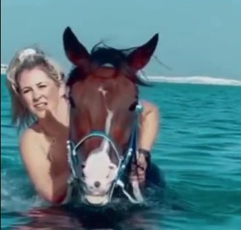 Passeggiata a cavallo sul mare