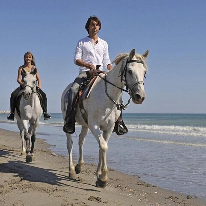 Passeggiata a cavallo sul mare