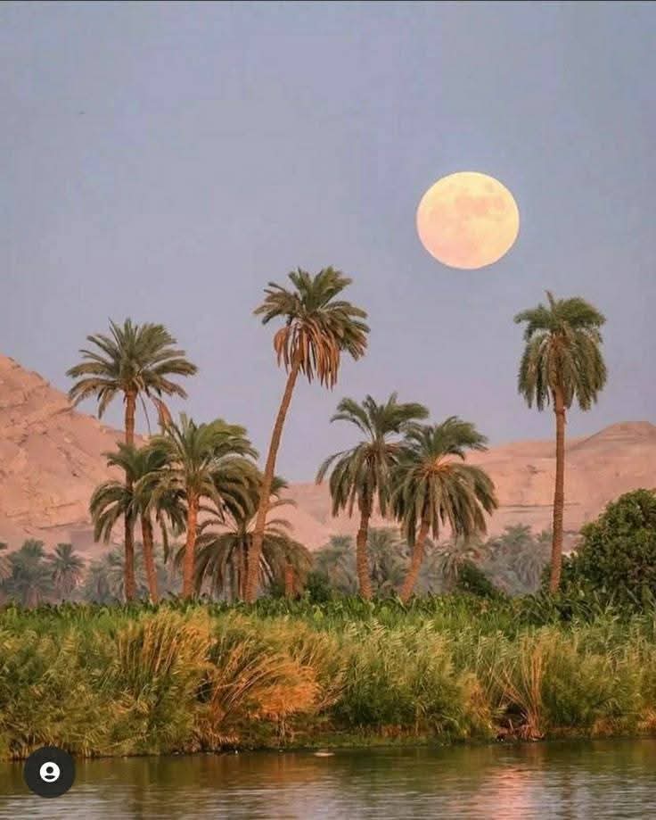 الأقصر بالطائرة