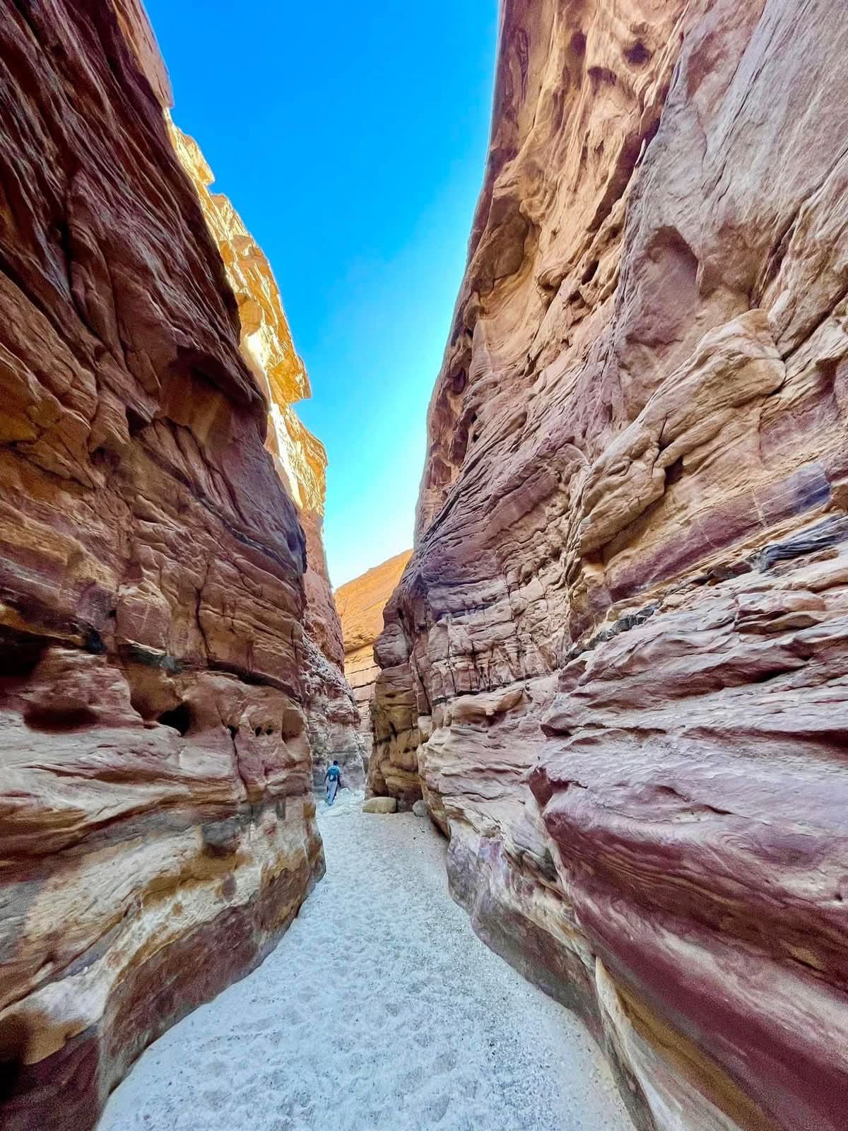 البتراء عن طريق البحر