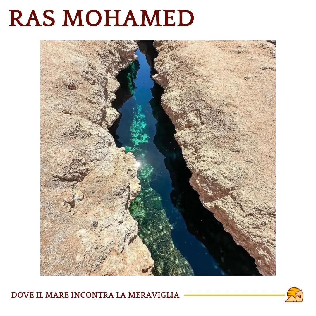 Excursion à Ras Mohammed – nature et magie des légendes