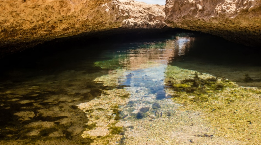 Excursion à Ras Mohammed – nature et magie des légendes