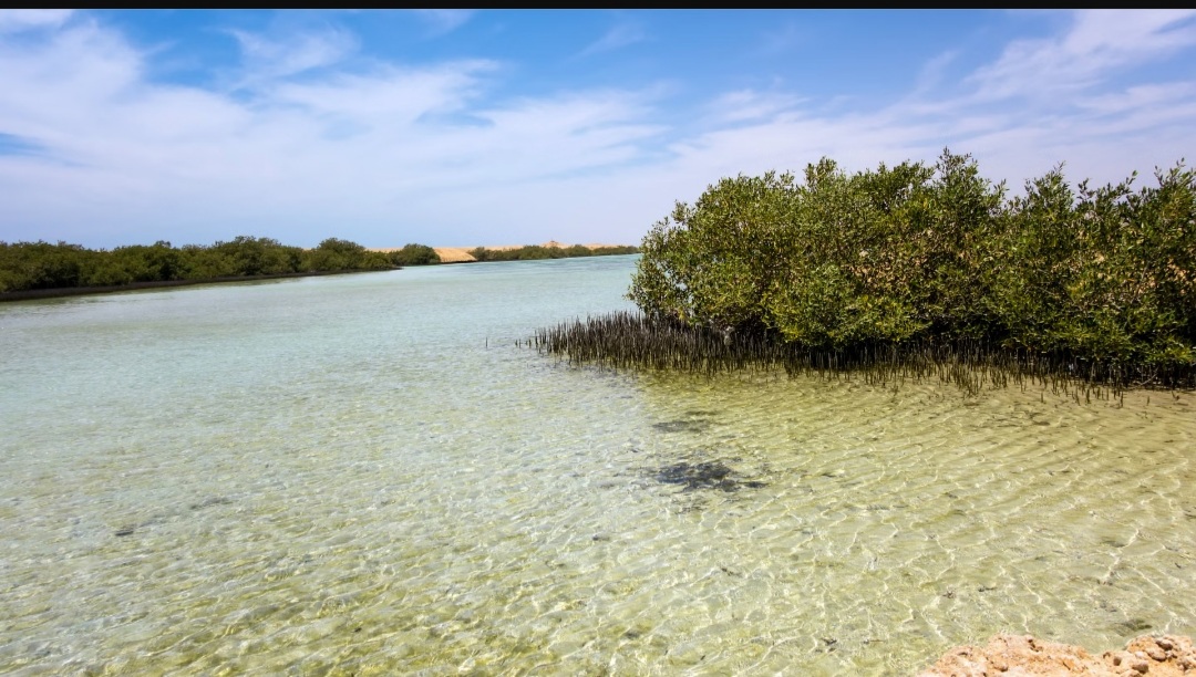Excursion à Ras Mohammed – nature et magie des légendes