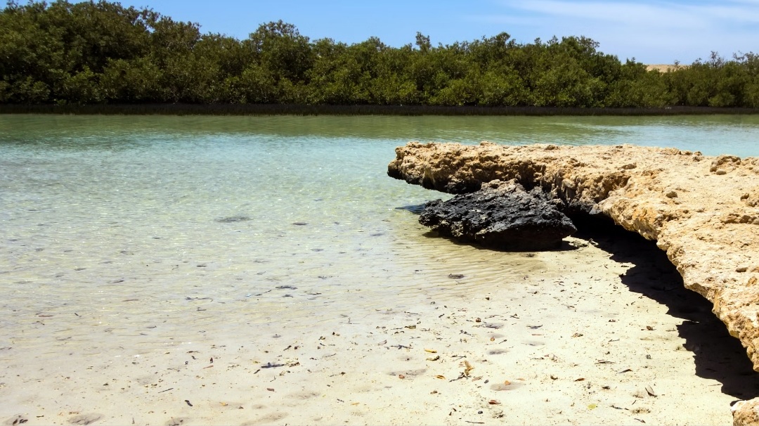 Excursion à Ras Mohammed – nature et magie des légendes