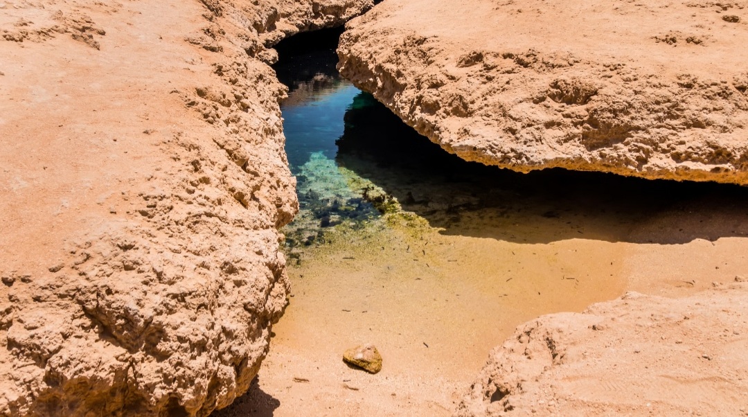 Excursion à Ras Mohammed – nature et magie des légendes