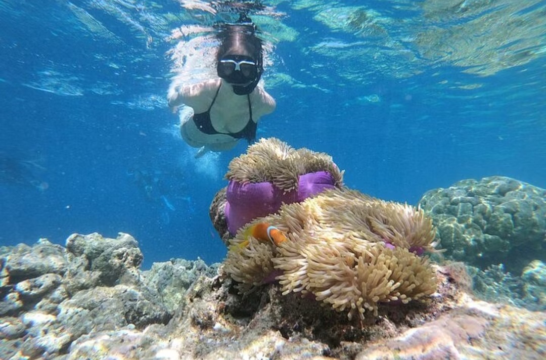 Excursion en yacht à Ras Mohammed – une aventure nature